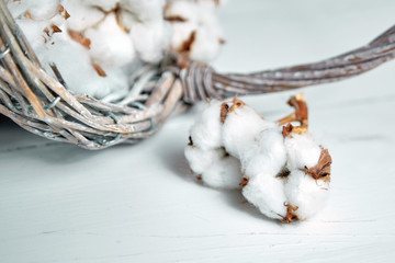 Cotton flowers and a basket on a white wooden table