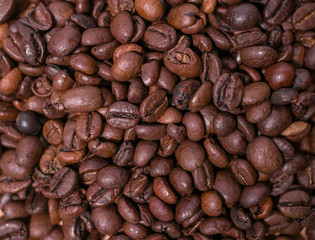 Fresh coffee beans close up