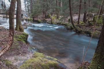 Obraz premium Little River In The Beautiful Forest Of Bavaria