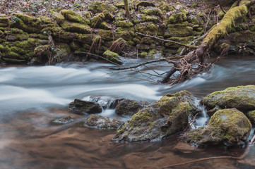 Little River In The Beautiful Forest Of Bavaria