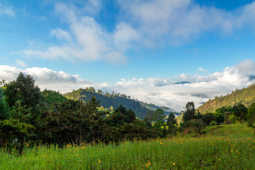 Fog path through the mountain farm uphill to the sky at morning time.