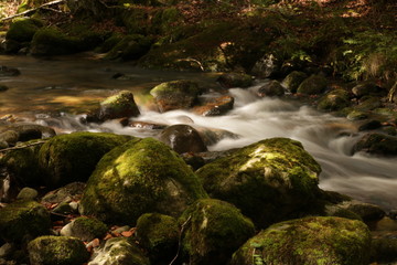 Cours d'eau