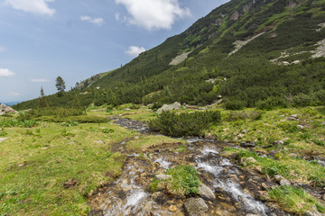 Obraz premium Summer landscape of Malyoviska river Valley, Rila Mountain, Bulgaria
