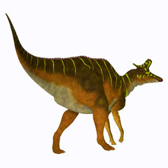 Fototapeta premium Lambeosaurus Dinosaur Tail - Lambeosaurus was a herbivorous Hadrosaur dinosaur that lived in North America during the Cretaceous Period.