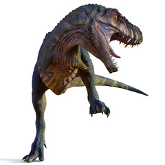 Tyrannosaurus Male Dinosaur - Tyrannosaurus was a carnivorous theropod dinosaur that lived in North America during the Cretaceous Period.