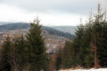 Green firs near small village on hill. Beautiful winter landscape