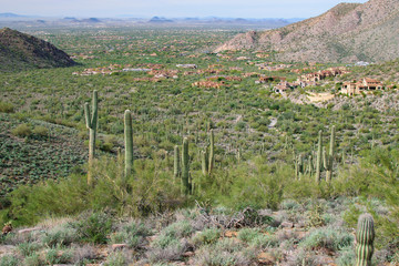 Phoenix Arizona Desert Landscape 