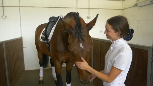 CLOSE UP: Happy young Caucasian woman petting and feeding her beautiful horse before a dressage competition. Loving and caring girl in formal clothes bonding with her purebred mare in the stable.