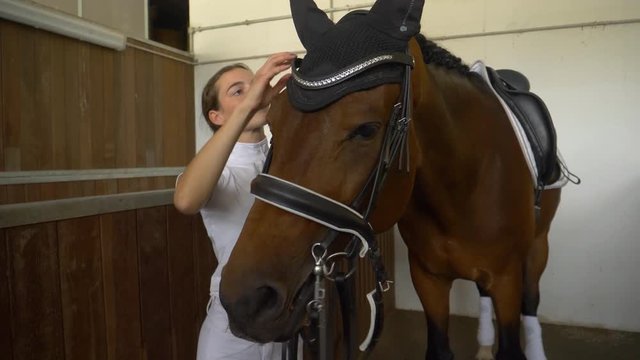SLOW MOTION, CLOSE UP: Young Caucasian woman in formal wear putting a bridle on her brown horse while preparing for a dressage competition. Girl tacking up her stallion for first competition together.