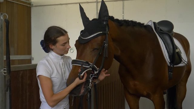 SLOW MOTION, CLOSE UP: Well dressed girl fastening the bridle on her stallion's head before their first dressage competition together. Focused young woman getting her beautiful brown horse ready.