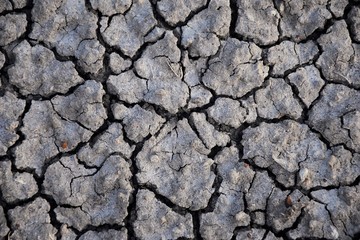 Dry soil abstract background. Drought. Gray dry soil. Soil background. Cracked soil background....