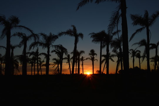 Arboleda Bilder Durchsuchen 4,540 Archivfotos, und