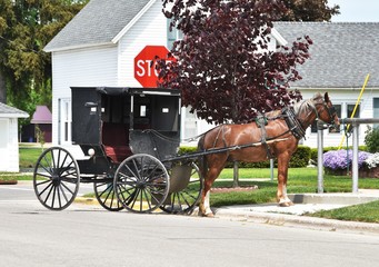 Fototapeta na wymiar Parked Amish Horse and Buggy