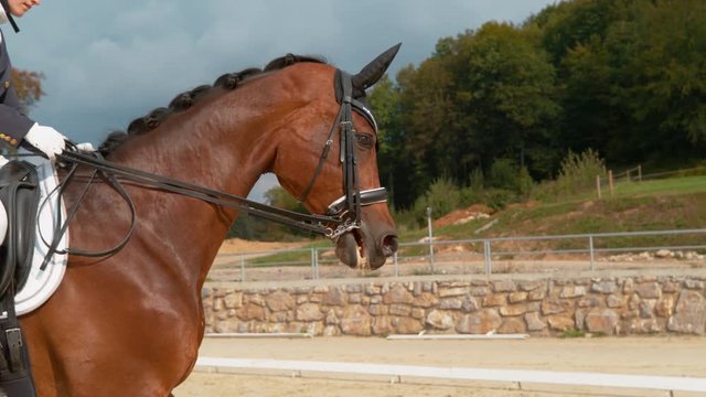 SUPER SLOW MOTION: Female English rider in a blue frock gallops on manege on horseback. Young woman cantering on a brown stallion during a dressage competition. Elegant girl training her horse.