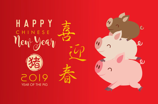 Chinese new year 2019 with cute little pigs. Translation: happy new year.