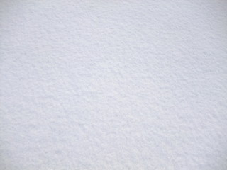 white snow background