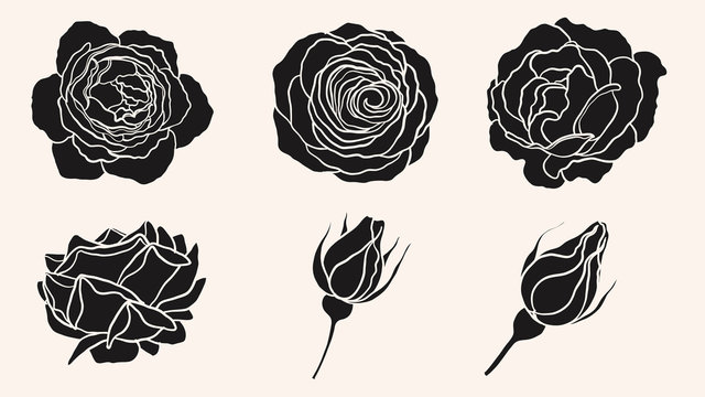 Rose silhouette ornament vector by hand drawing.Beautiful flower on brown background.Blaze rose vector art highly detailed in line art style.Flower tattoo for paint or pattern.