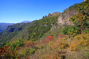 Natural scenery