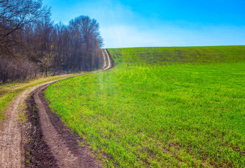 scenery with country road and green agricultural field