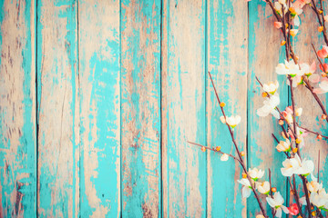 Cherry blossom flowers on vintage wooden background, border design. vintage color tone - concept flower of spring or summer background
