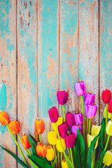 Tulip blossom flowers on vintage wooden background, border  frame design. vintage color tone -...