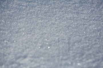 Fototapeta premium Fresh snow