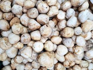 Top view of fresh straw mushroom or volvariella volvacea as a background in the market for sale at Thailand, fresh vegetable for cooking