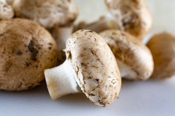 Close up view of a group of mushrooms.  Typically those found in grocery stores.