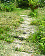 Old foot path made of wooden planks with grass in the garden. Spring and summer nature vintage background in daylight outdoors