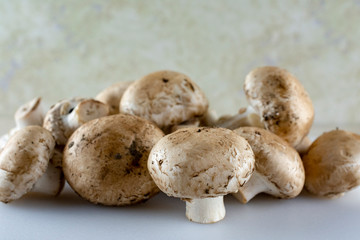 Close up view of a ground of mushrooms.  White foreground.