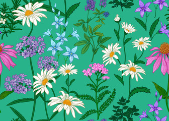 Fototapeta na wymiar Seamless background with wild flowers. Full color pattern.