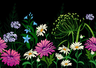 Seamless summer pattern. Border&nbsp;with Wild flowers.