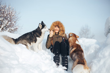 Happy young girl hugging red and black huskies in winter