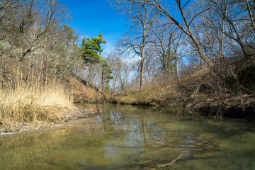 Fototapeta na wymiar Down the small creek in Starved Rock, Illinois on a early Spring afternoon.