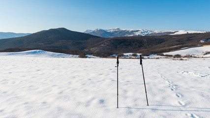 Ski sticks on a snowy field