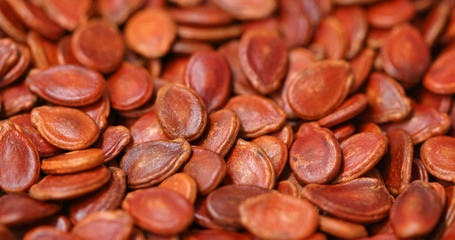 Red watermelon seed