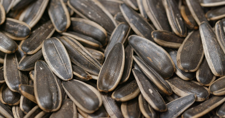 Pile of Sunflower seeds