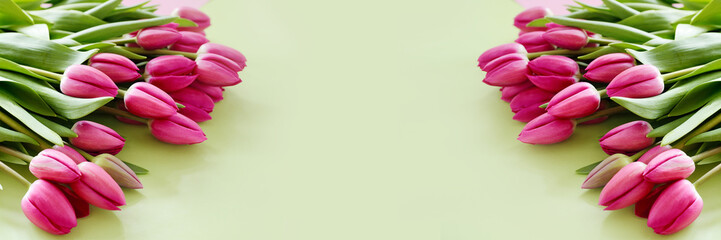 Fresh Pink tulips. Beautiful greeting card. Spring Holidays concept. Copyspace. Banner