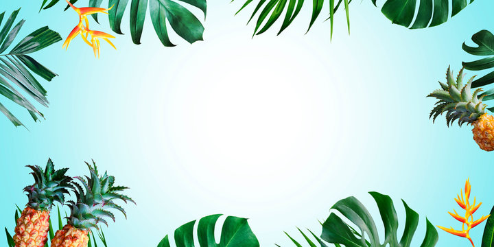 Fototapeta Summer tropical background with copy space