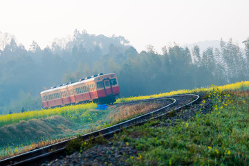 Obraz premium 石神の菜の花畑