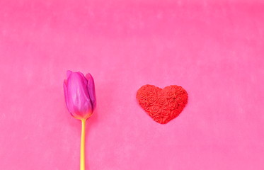Valentines Day background with purple tulip and red heart 