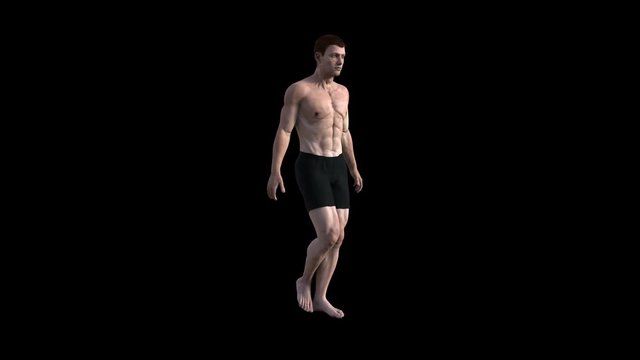 Human Body Walk Cycle Adult for Your Projects Walk Fat Burn Related to Health, Medicine, Therapy, Surgery, Psychology, Life, Energy, etc Included Rendered Loopable Clips 4K QT MOV PNG + Alpha Channel 