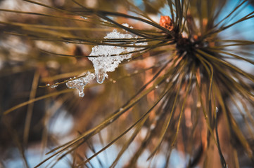 Thaws ice and snow. Hello spring.
