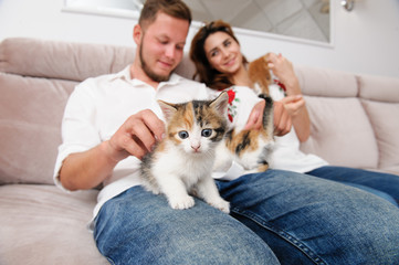 beautiful young couple man and female sitting on couch indoors with many kittens