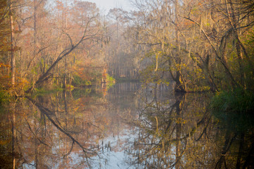 Beautiful lake hidden in the swamps of Laplace, Louisiana. 