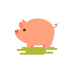 Little Pig. The year of the pig