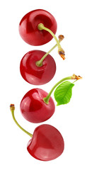Fototapeta na wymiar Flying fresh cherry berries isolated on white