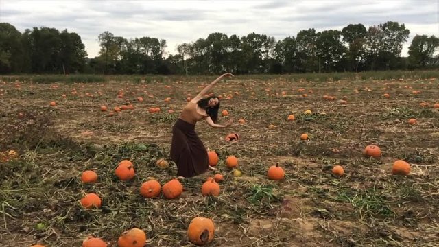 Woman dancing among pumpkins on a working farm.