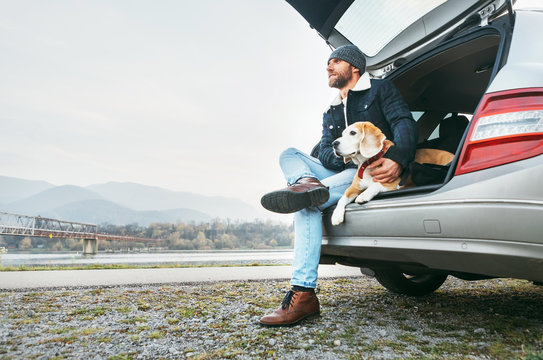 Breaded man in warm clothes siting with beagle in car trunk. Traveling with pet concept image