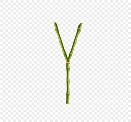 Capital letter Y made of green bamboo sticks on transparent background.
